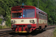 810c