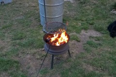 rost-k-ohnisti-17