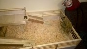 klec_pro_morcata_34