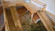 domecky-morcata_11