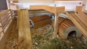 domecky-morcata_12